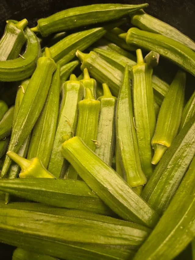 We have alot of Okra!!!
$6 / basket