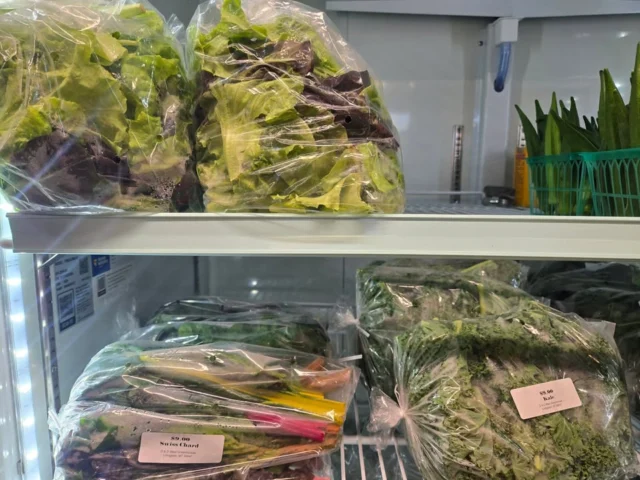Good morning Facebook land!!! This is our last full week together ❤️ 😢.  Our last Monday to complete a great 13 years with you.  
We have alot of sales going on this week!! Come stock up on all your favorite D & D goodies 😉 😎.  

All Greens 💚  $6 bag
All Meat 1/2 off
Basil plants 🌿 B1G1