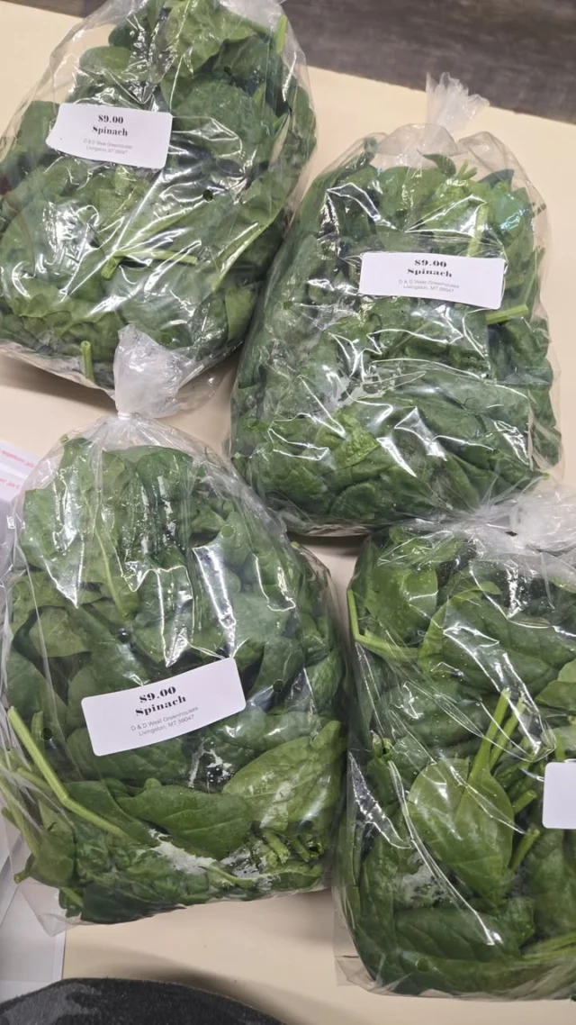 All bags of 
Lettuce, Spinach, Arugula, Kale & Rainbow Chard
$6