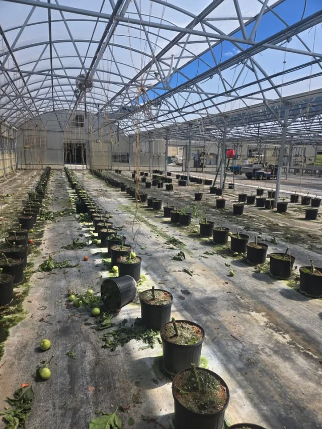 All plants are out!!